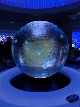 新江ノ島水族館に投稿された画像（2026/2/2）