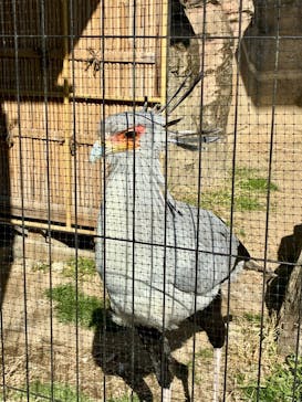 東武動物公園に投稿された画像（2026/2/2）