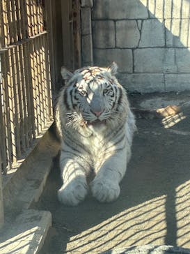 東武動物公園に投稿された画像（2026/2/2）