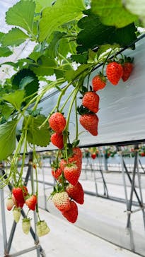 株式会社こまち野に投稿された画像（2026/2/2）