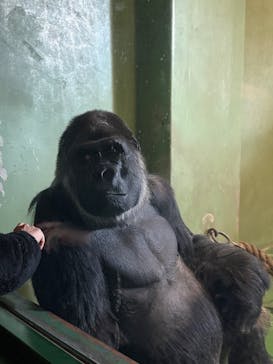 千葉市動物公園に投稿された画像（2026/2/2）