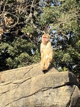 千葉市動物公園に投稿された画像（2026/2/2）