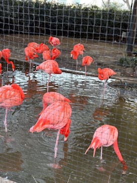 恩賜上野動物園に投稿された画像（2026/2/2）
