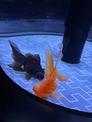 すみだ水族館に投稿された画像（2026/2/2）