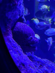 すみだ水族館に投稿された画像（2026/2/2）