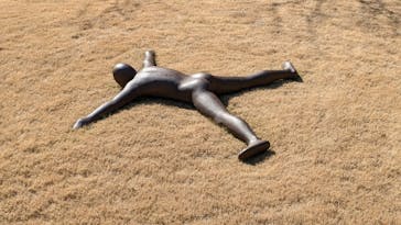 彫刻の森美術館に投稿された画像（2026/2/2）