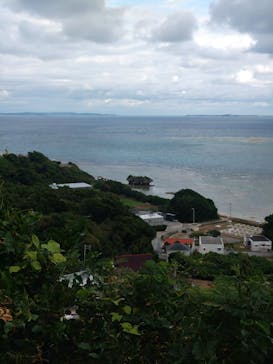 ラド観光株式会社　沖縄営業所に投稿された画像（2026/2/2）