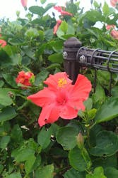 ラド観光株式会社　沖縄営業所に投稿された画像（2026/2/2）