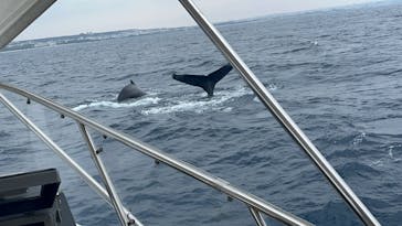 JAM（ジャム）マリンクラブに投稿された画像（2026/2/2）