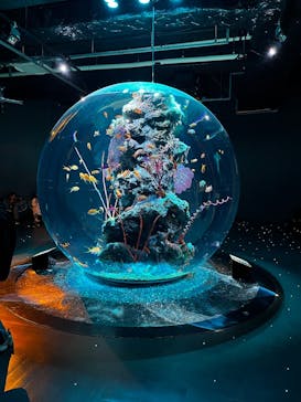 AQUARIUM × ART　atoaに投稿された画像（2026/2/2）