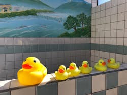 昭和レトロな温泉銭湯玉川温泉に投稿された画像（2026/2/2）