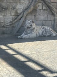 東武動物公園に投稿された画像（2026/2/2）