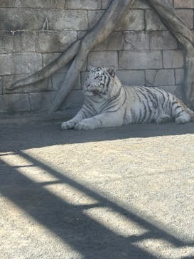東武動物公園に投稿された画像（2026/2/2）