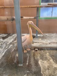 東武動物公園に投稿された画像（2026/2/2）