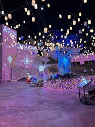 ひらかたパークに投稿された画像（2026/2/2）