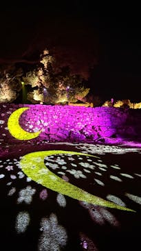 今帰仁城跡に投稿された画像（2026/2/2）