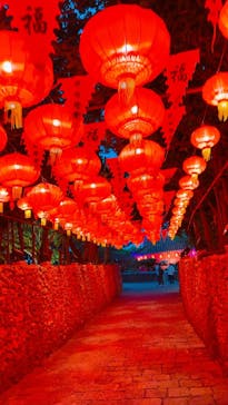 体験王国 むら咲むらに投稿された画像（2026/2/2）