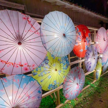 体験王国 むら咲むらに投稿された画像（2026/2/2）