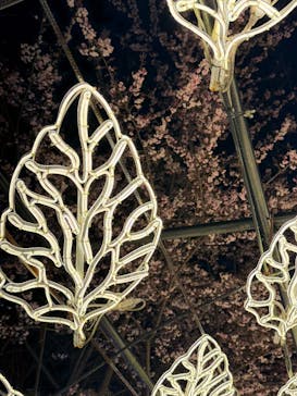 伊豆高原グランイルミに投稿された画像（2026/2/2）