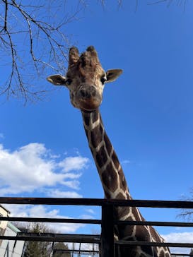 宇都宮動物園に投稿された画像（2026/2/2）