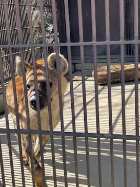 宇都宮動物園に投稿された画像（2026/2/2）