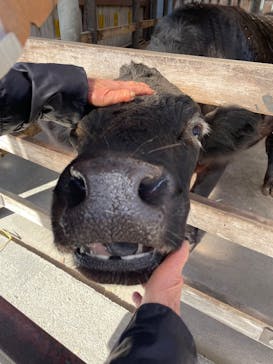 宇都宮動物園に投稿された画像（2026/2/2）