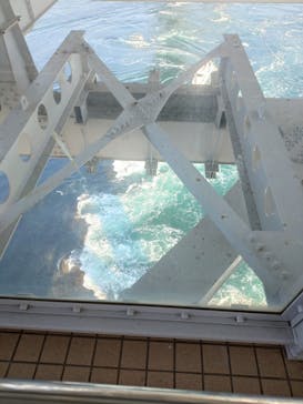 徳島県立 渦の道に投稿された画像（2026/2/2）