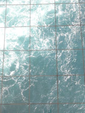 徳島県立 渦の道に投稿された画像（2026/2/2）