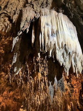 CAVE OKINAWAに投稿された画像（2026/2/2）