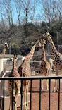 多摩動物公園に投稿された画像（2026/2/3）