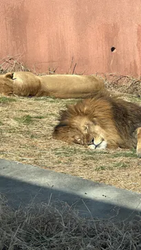 多摩動物公園に投稿された画像（2026/2/3）
