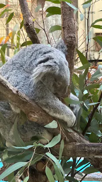 多摩動物公園に投稿された画像（2026/2/3）