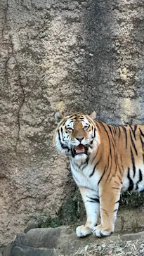 多摩動物公園に投稿された画像（2026/2/3）
