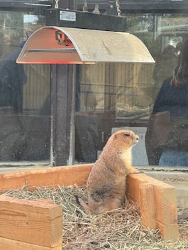 名古屋市東山動植物園に投稿された画像（2026/2/3）