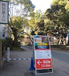 特別展「大絶滅展―生命史のビッグファイブ」に投稿された画像（2026/2/3）