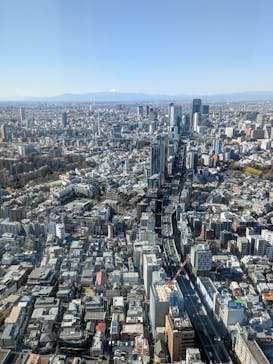 六本木ヒルズ展望台 東京シティビューに投稿された画像（2026/2/3）