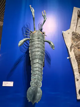 特別展「大絶滅展―生命史のビッグファイブ」に投稿された画像（2026/2/3）