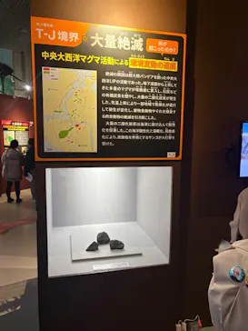 特別展「大絶滅展―生命史のビッグファイブ」に投稿された画像（2026/2/3）