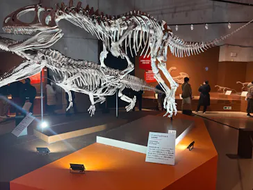 特別展「大絶滅展―生命史のビッグファイブ」に投稿された画像（2026/2/3）
