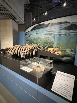 特別展「大絶滅展―生命史のビッグファイブ」に投稿された画像（2026/2/3）