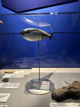 特別展「大絶滅展―生命史のビッグファイブ」に投稿された画像（2026/2/3）