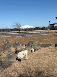 熊谷天然温泉　花湯スパリゾートに投稿された画像（2026/2/3）
