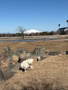 熊谷天然温泉　花湯スパリゾートに投稿された画像（2026/2/3）