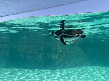 葛西臨海水族園に投稿された画像（2026/2/3）