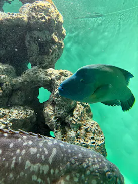 葛西臨海水族園に投稿された画像（2026/2/3）