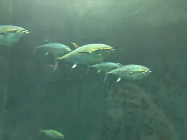 葛西臨海水族園に投稿された画像（2026/2/3）