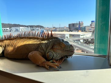 Moff animal cafe 小田原ダイナシティ店に投稿された画像（2026/2/3）