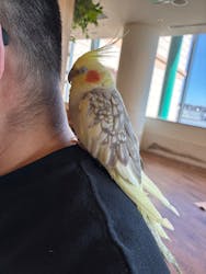 Moff animal cafe 小田原ダイナシティ店に投稿された画像（2026/2/3）