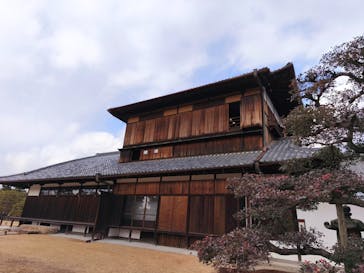 元離宮二条城に投稿された画像（2026/2/3）