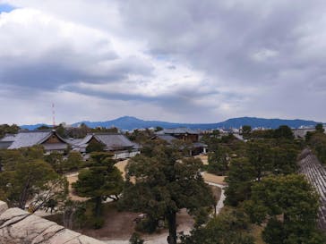 元離宮二条城に投稿された画像（2026/2/3）